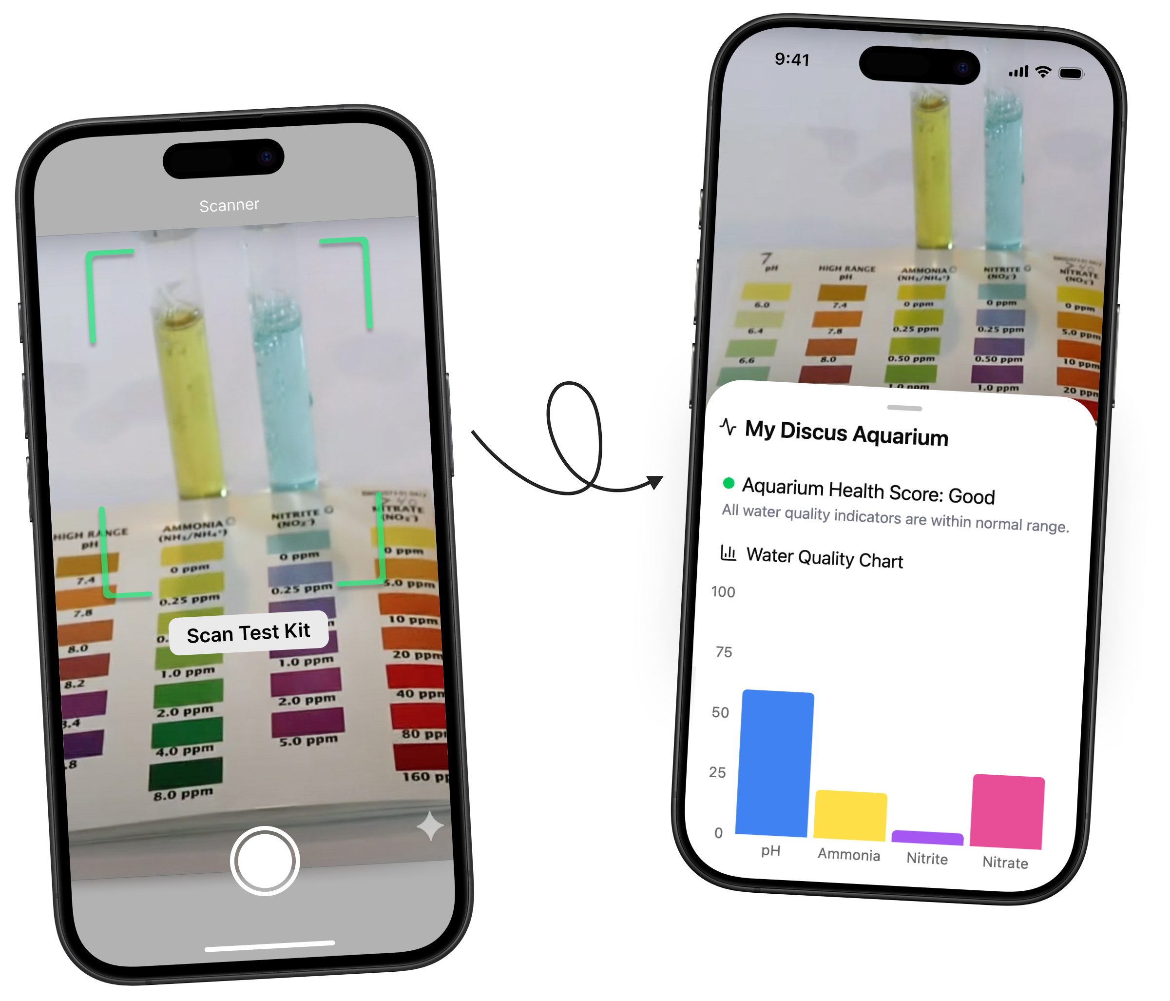 Modern aquarium with colorful fish